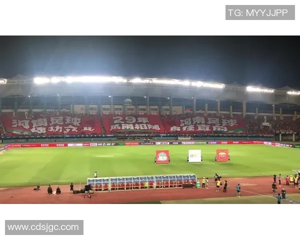 足球明星莅临镇安引发热烈反响球迷齐聚期待精彩赛事盛况